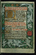 W.189, fol. 63r